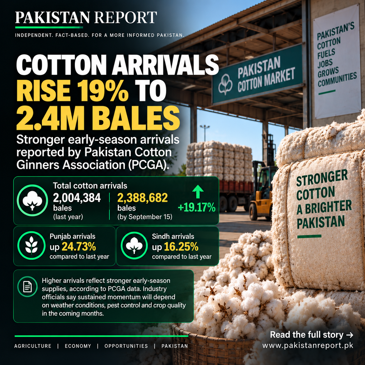 Pakistan Report graphic showing cotton bales and the latest Pakistan Cotton Ginners Association arrival figures.